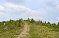 Gudenhagen- Petersborn Blick auf den Gudenhagener Poppenberg mit Landschaftsbilderrahmen