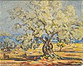 1976: Old Olive Tree, Mallorca (73 × 92 cm)