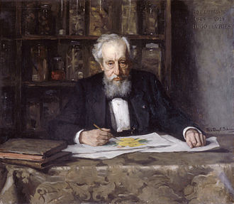 Painting of Hugo de Vries, making a painting of an evening primrose, the plant which had apparently produced new forms by large mutations in his experiments, by Therese Schwartze, 1918 Hugo de Vries (1848-1935), by Therese Schwartze (1851-1918).jpg