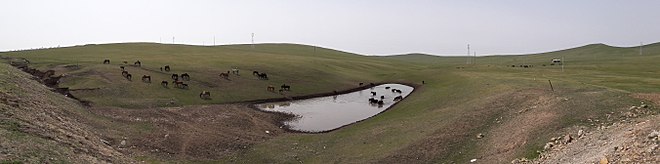Photo montrant des chevaux allant boire dans un petit lac