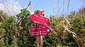 Camí de Cavalls sign. Stage 4, Platges de Fornells, close to Cala Tirant.