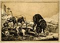 Paysage avec quatre chiens (gravure de Alcune Animali)[3]