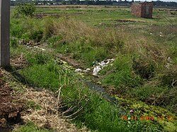 An open drain in Kuwadzana township, Harare in 2004. By 2008 drains such as this were carrying sewage from burst sewage pipes and feces washed out of the neighbouring areas as the urban sanitation system collapsed. This contributed to the rapid spread of the cholera outbreak. Kuwadzana open drain.JPG