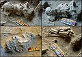 Burial 5 - Multiple views of the excavation process.