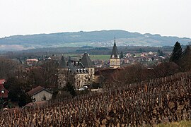 A general view of Lavigny