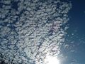 Mackerel sky