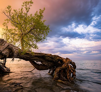 Sandbanks Provincial Park. Photograph: Jasonpettit