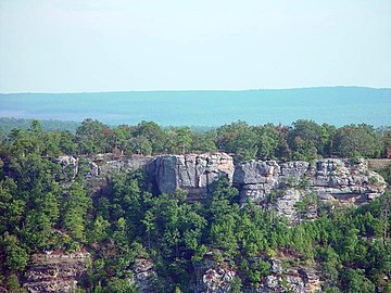 Bluffs at Petit Jean State Park within Ecoregion 37a