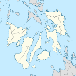 Caubian Islands is located in Visayas, Philippines