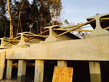 A concrete girder bridge pier during construction prior to installation of the bridge deck and parapets, consisting of multiple angled pylons for support (bottom), a horizontal concrete cap (center), and girders (top) with temporary wood bracing Poinciana Parkway RCMB bridge construction 4.jpg