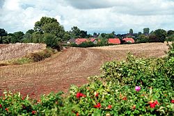 Skyline of Prasdorf