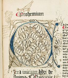 Illumination with doodles and drawings (marginalia), including an open-mouthed human profile, with multiple tongues sticking out. Copulata, "De Anima", f. 2a. HMD Collection, WZ 230 M772c 1485 Prohemium..JPG