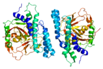 Vignette pour Poly(ADP-ribose) polymérase 1