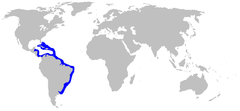 Sua distribuição está compreendida pela área em azul.
