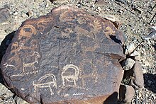 Petroglyphs of local sheep, Sary Kamysh Sary - Kamysh, Kyrgyz Republic petroglyphs.jpg