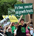 Manifestation écologiste à Melbourne en 2011. Flickr. C'est n'est sans doute pas la plus encyclopédique dans l'absolu (la plus riche de signification) mais sans doute la plus pertinente en ce qui concerne la Déforestation en Australie.