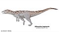 Sillosuchus