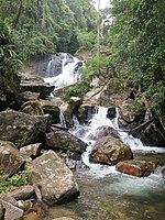 Sinharaja Forest waterfall3.JPG