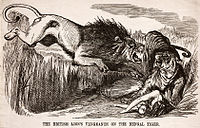 바버리사자로 표현된 영국이 벵골호랑이로 표현된 인도를 물려고 하고 있다. (1857년 8월 22일) 당시 영국은 인도를 식민 지배 하고 있었던 때로, 영국을 상징하는 사자가 세포이 항쟁 이후 사망한 영국 여성에 대한 복수를 인도를 상징하는 벵골호랑이에게 한다는 내용의 프로파간다 그림이다.