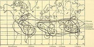 John Christopher Willis's The Course of Evolution by Differentiation Or Divergent Mutation Rather Than by Selection, 1940 The course of evolution by differentiation or divergent mutation rather than by selection (1940) (20709042401).jpg