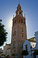 Torre de la iglesia de San Pedro de Carmona