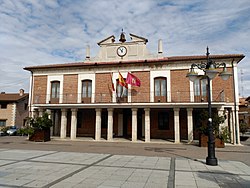 Skyline of Viana de Cega