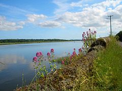 Suir ved Waterford.