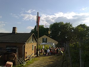 Weinfest in den Weinbergen am Weingut auf der Peterstirn