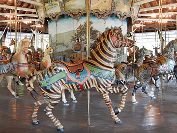 Zebra at Weona Park Carousel