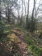 Track along wooded earth bank