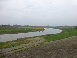 新灘鎮・劉家墩渡船付近の四湖幹線水路