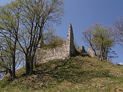 Zřícenina paláce dolního hradu