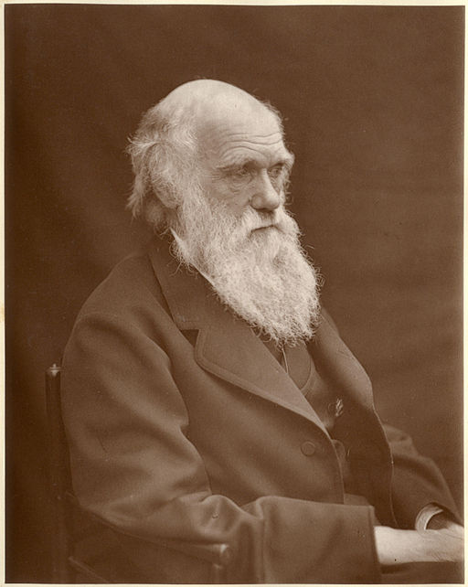 1878 Darwin photo by Leonard from Woodall 1884