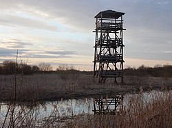 Birdwatching tower at the Lake Aardla Nature Reserve