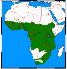 Atilax paludinosus range map.png