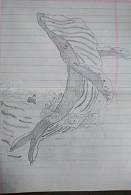 Ołówkowy szkic wieloryba wyskakującego z wody. Ponury i z detalami.