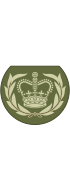 Британская армия OR-8b.svg