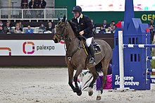 Philippe Le Jeune mit Carlino beim CHI Genf 2013