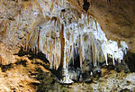 Miniatura para Parque nacional de las Cavernas de Carlsbad