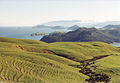 Northern Coromandel Peninsula landscape in the Coromandel Volcanic Zone