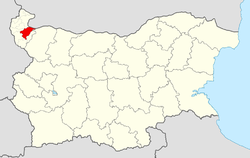 Dimovo Municipality within Bulgaria and Vidin Province.