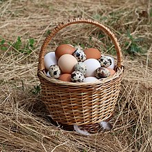eggs in a basket sitting in grass