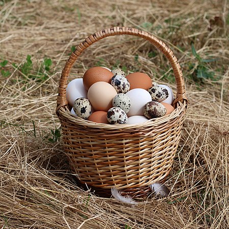 籃子裡的雞蛋和鵪鶉蛋。攝於烏克蘭。