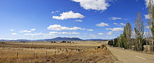 Crops in Australia that have failed due to drought conditions Fields outside benambra.jpg