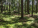 Koloděje nad Lužnicí - mohylník na levém břehu Lužnice, na okraji lesa Zelib, resp. Želib (7).jpg