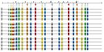 Schema över moodswingerns över- och undertoner.