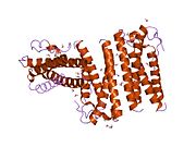 PDB 1rhg EBI.jpg