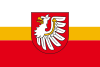 Flag of Brzesko County