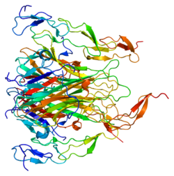 Protein TNFRSF10B PDB 1d0g.png