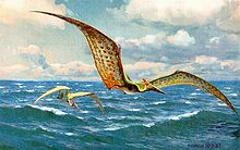 Ilustração de um Pteranodon